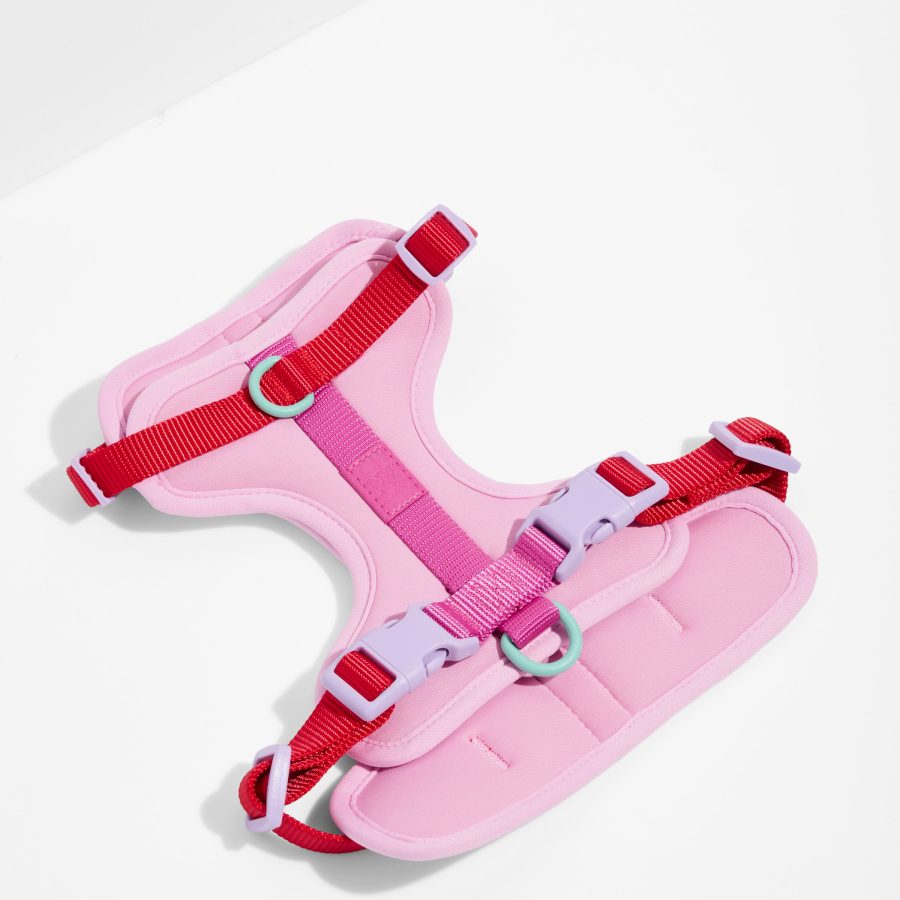 Cushioned Dog Harness