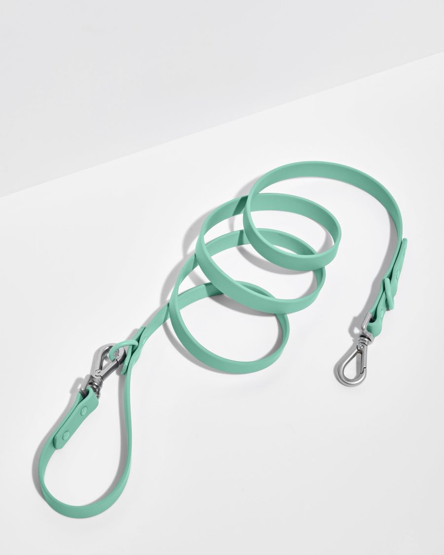 Seafoam