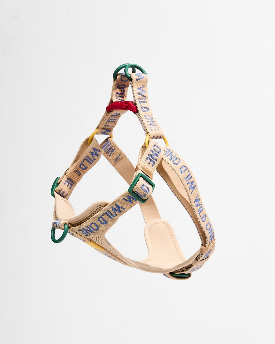 Step-In Dog Harness