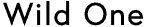 Dog Harnesses, Collars, Leashes, Toys & Essentials | Wild One